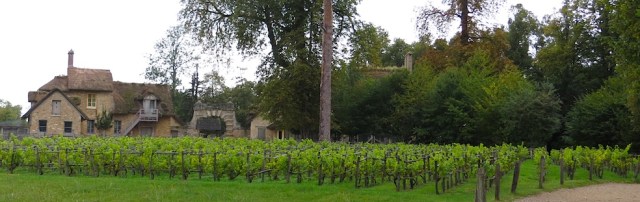 VersaillesRoyalVineyard