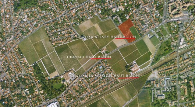 Haut Brion areal view allary-haut-brion-vineyard
