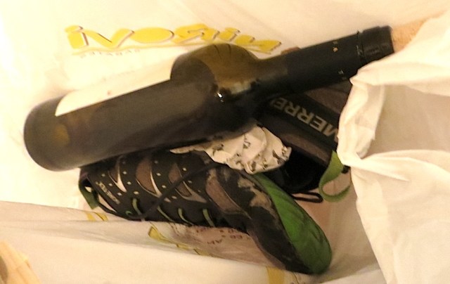 If our trip had a mascot...