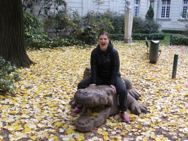 Tracy Ride Crocodile Nimes