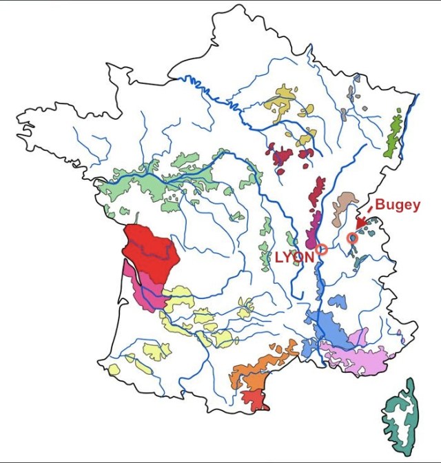 Bugey Wine Regions