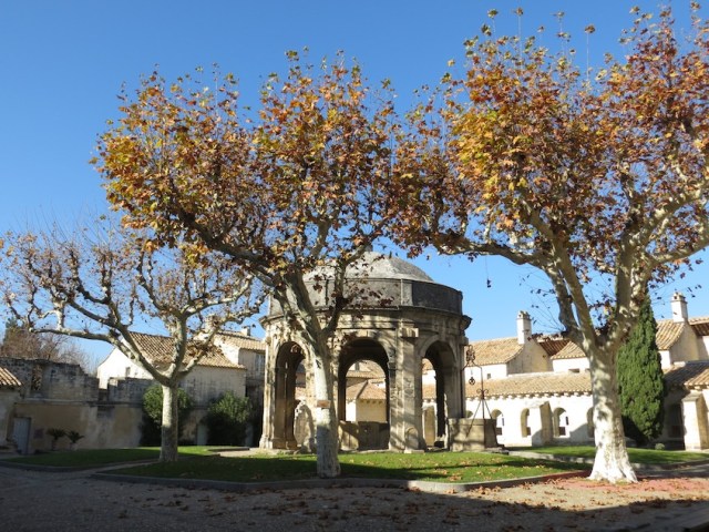 Watering hole Chartreuse