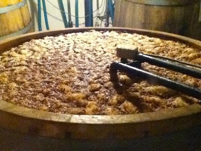 U Medvidku Brewery Barrel ferment top