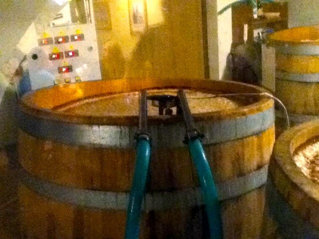 U Medvidku Brewery Barrel fermentors