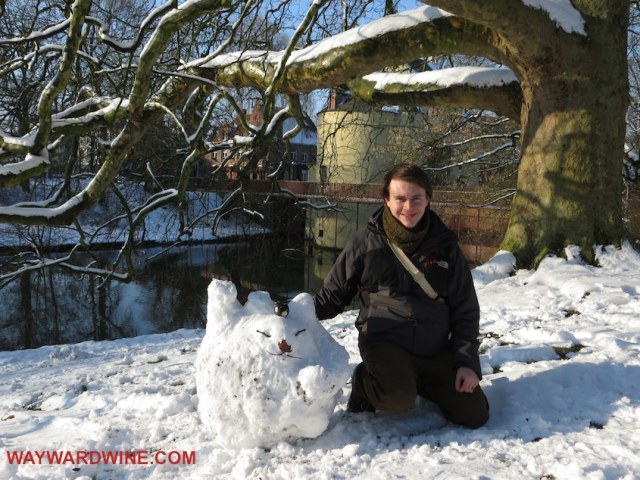 Bruges Belgium Neko Cat