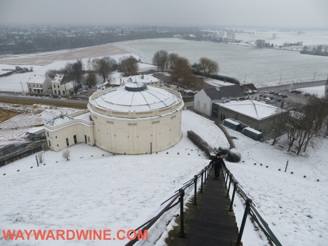 Mount Lions Mount Tracy