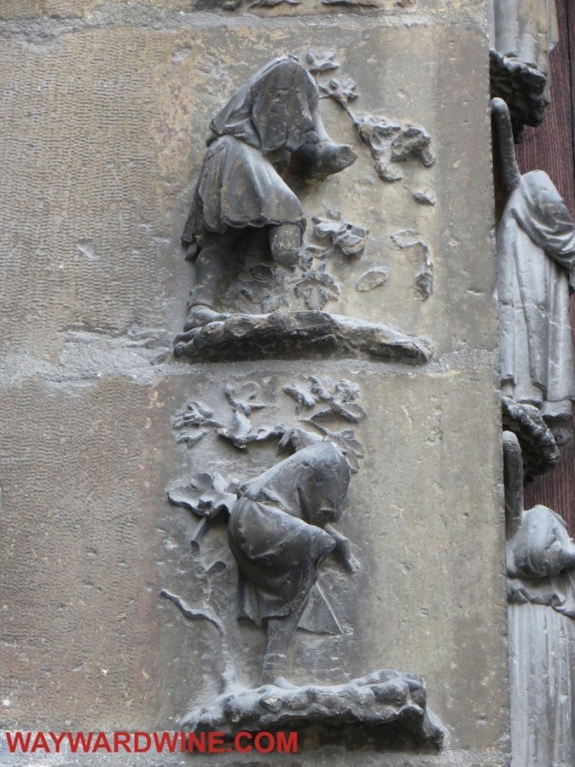 Reims Cathedral Grape Picking