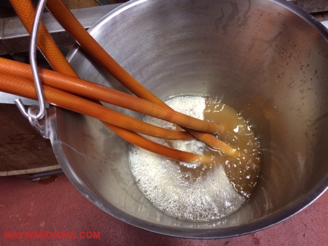 Burton Union Fermentation