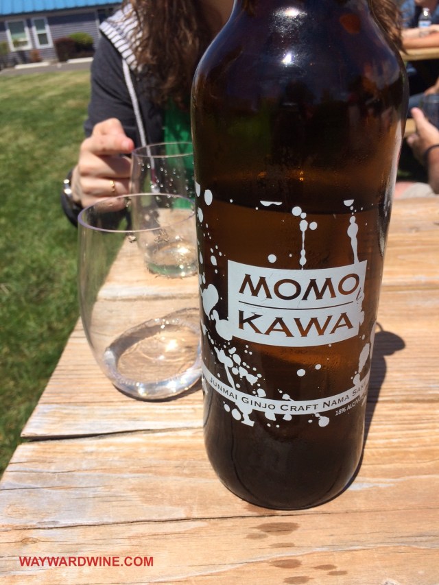 Momokawa Junmai Ginjo Nama
