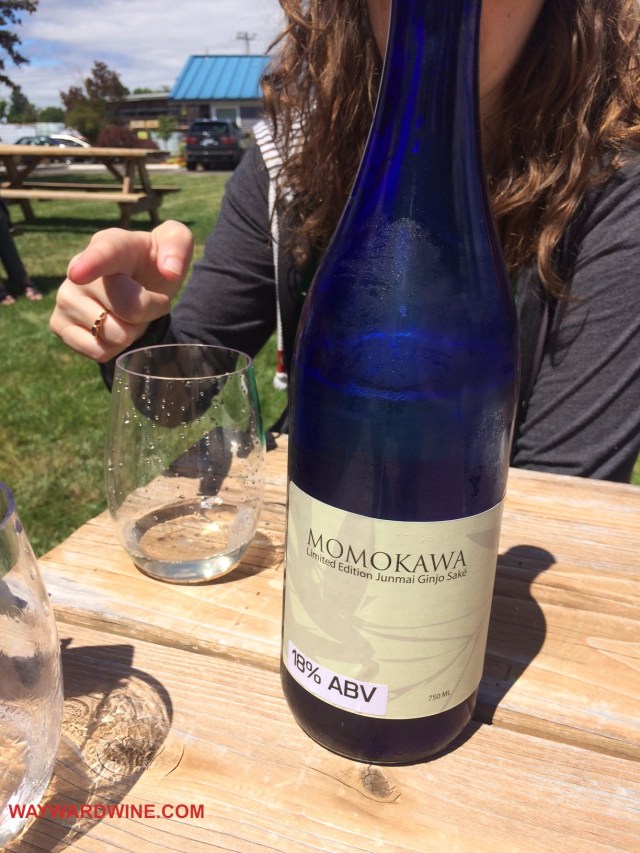 Momokawa Limited Edition Sake