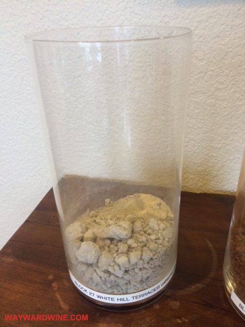Newton Cabernet Limestone Soil