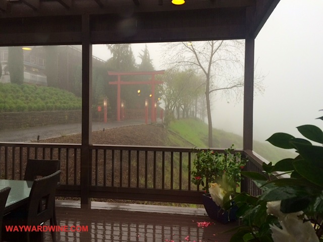 Newton Family Vineyard