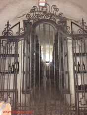 Newton Gate Empty Collection
