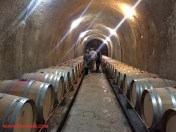 Newton Red Barrel Room