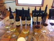 Newton Vineyard Wines