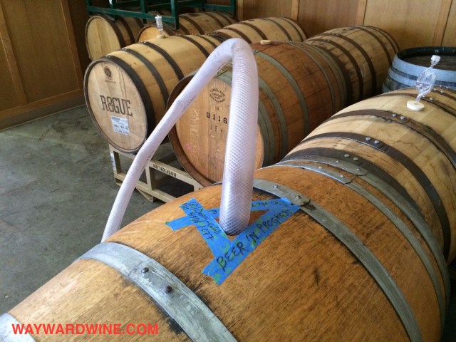 beer-and-barrel-ferment