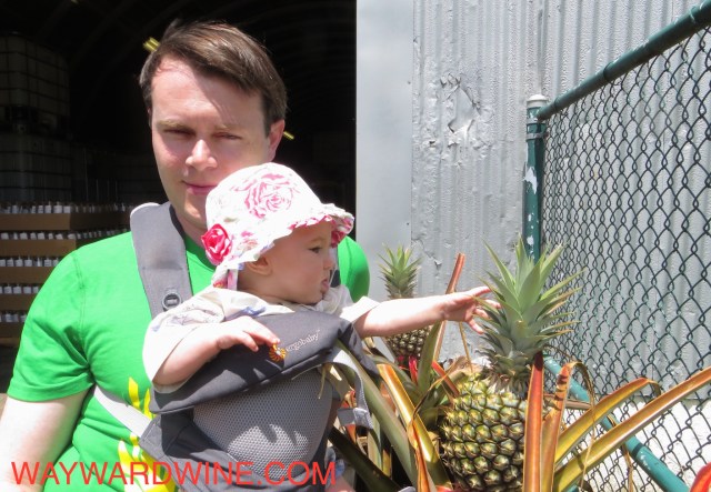 PAU Distillery PINEAPPLE