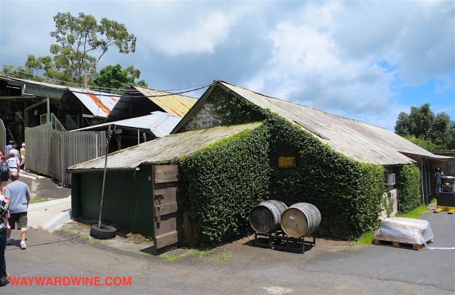 Maui Shed Winery