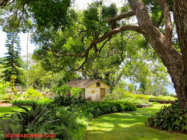 Maui Winery Prison Shed.jpg