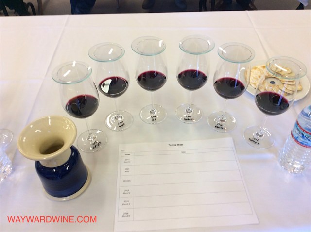 Opus Yeast and Blend Tasting