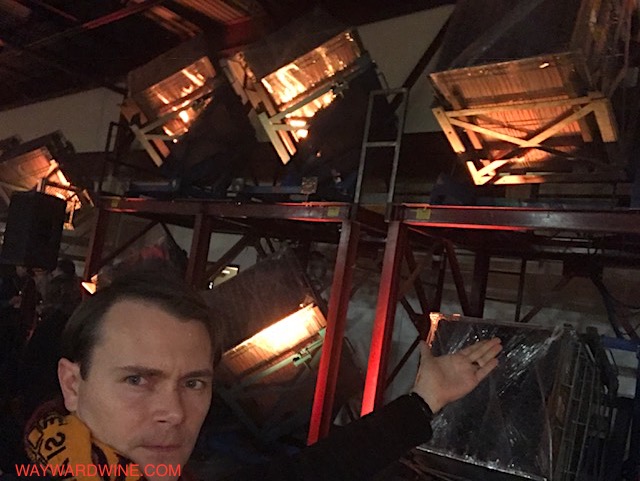 Gyroscopes Argyle Sparkling