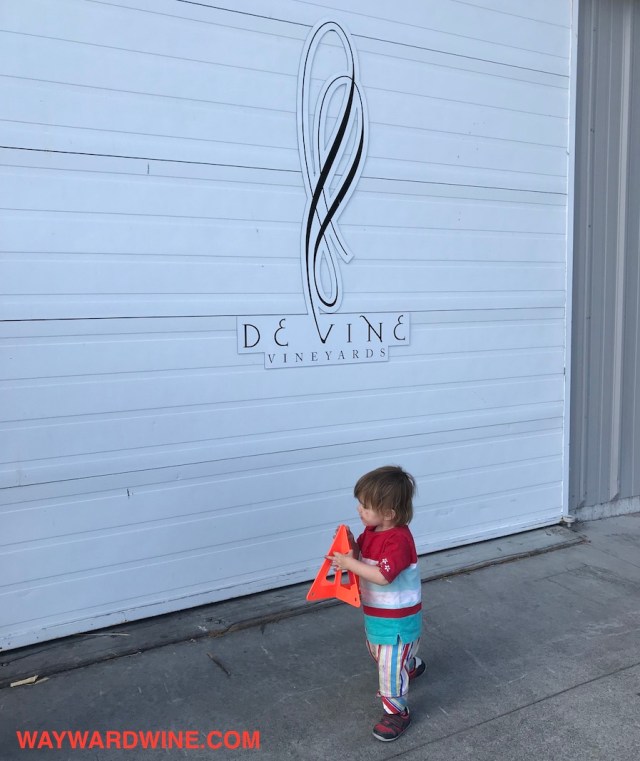 De Vine Vineyards Alexandria Ext