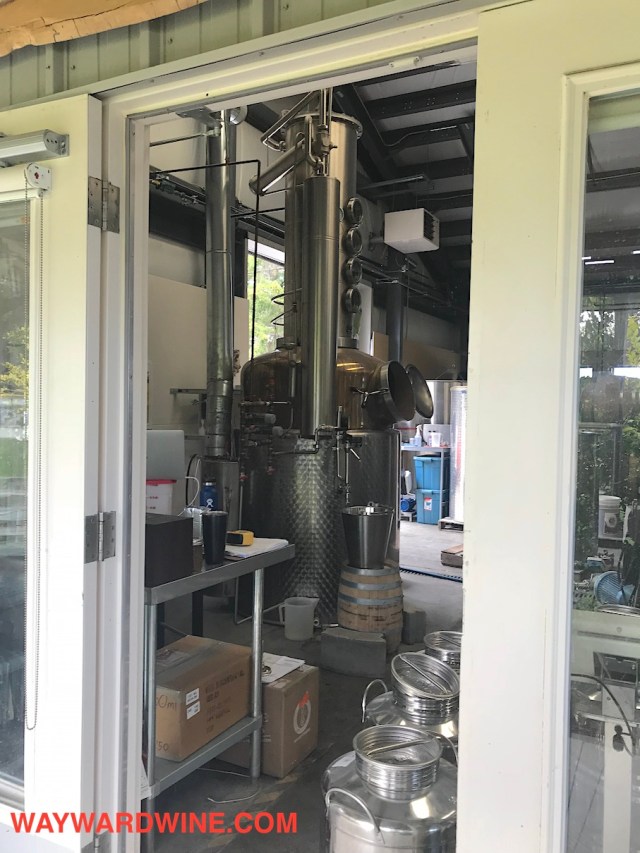 Still De Vine Vineyards